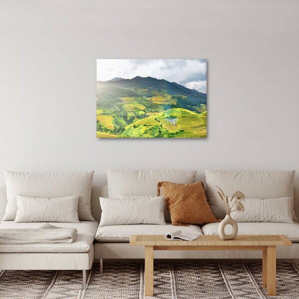 Obraz plantáže (70x50 cm)