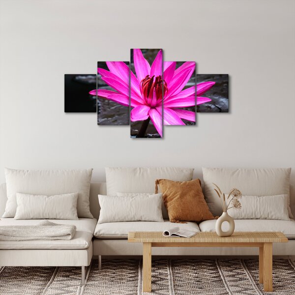 Obraz - růžový květ (125x70 cm)