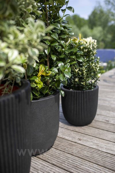Capi Europe Květináč kulatý Groove NL, Capi, průměr 43 cm, výška 41 cm, recyklovatelná PE směs, barva black