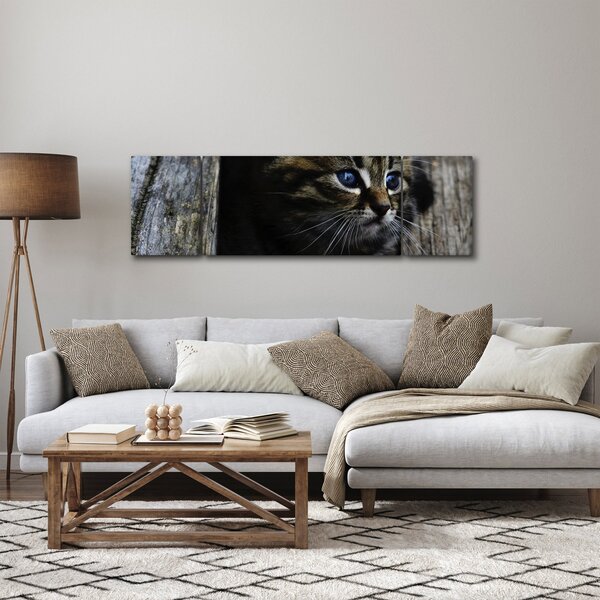 Obraz koťátka (170x50 cm)