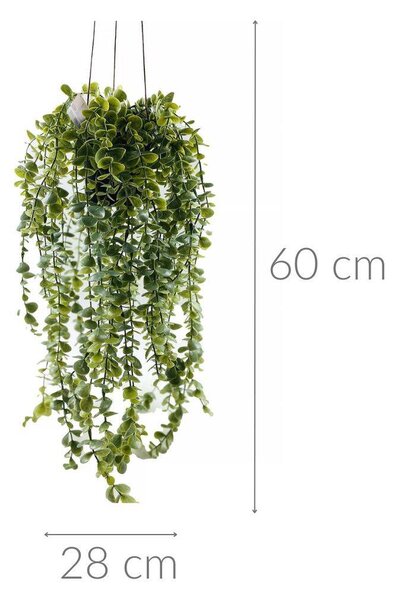 Umělá rostlina SENECIO, závěsná, 60 cm