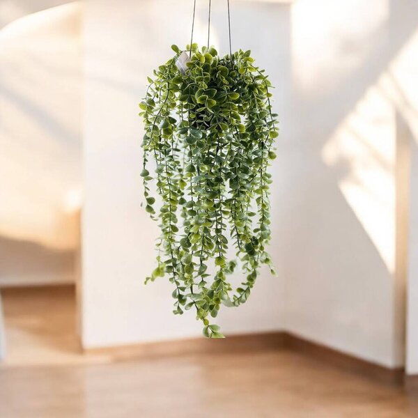 Umělá rostlina SENECIO, závěsná, 60 cm