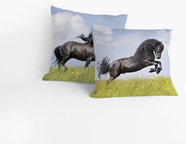 Povlak Friesian 1 Bavlna deluxe digitál 40/40