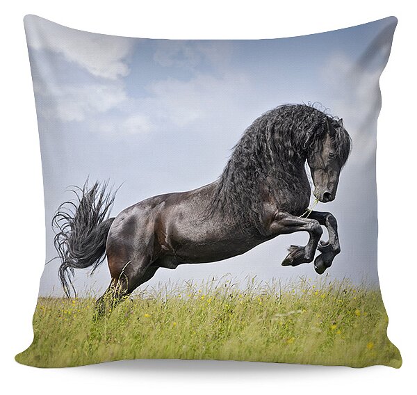 Povlak Friesian 1 Bavlna deluxe digitál 40/40