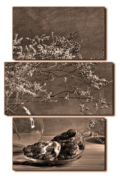 Obraz na plátně - Zátiší - větev a granátové jablko - obdélník 7274FC (90x60 cm)