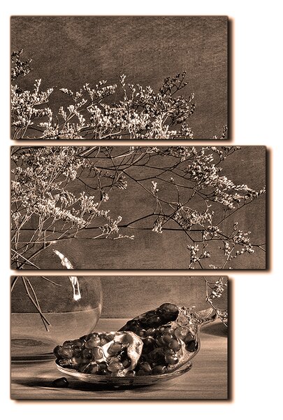 Obraz na plátně - Zátiší - větev a granátové jablko - obdélník 7274FD (90x60 cm)