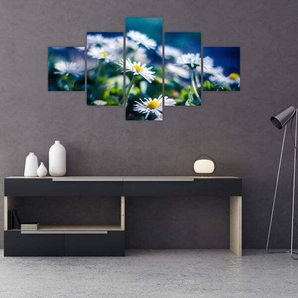 Obraz sedmikrásek (125x70 cm)