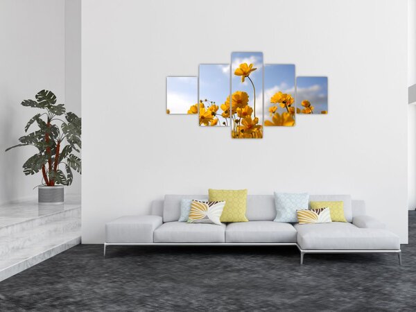 Obraz pole s jasně žlutými květy (125x70 cm)