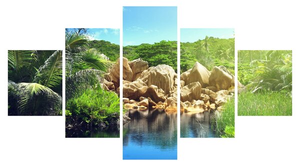 Obraz jezera v Seychelské džungli (125x70 cm)