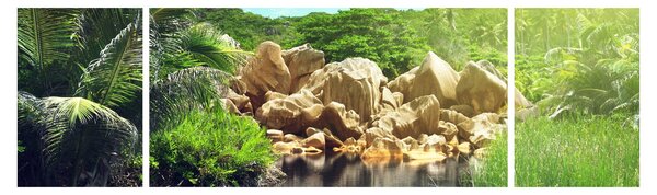 Obraz jezera v Seychelské džungli (170x50 cm)