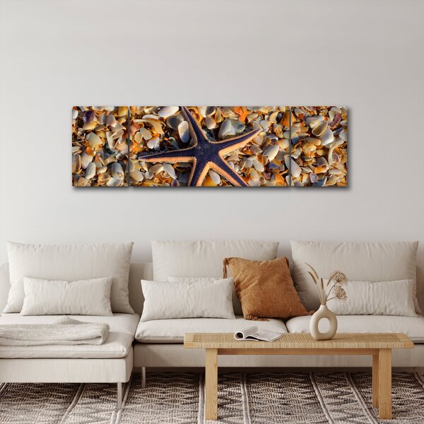 Obraz mořské hvězdice (170x50 cm)