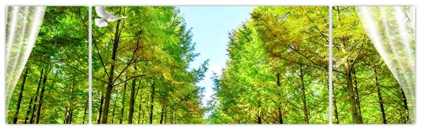 Obraz - Výhled na les (170x50 cm)