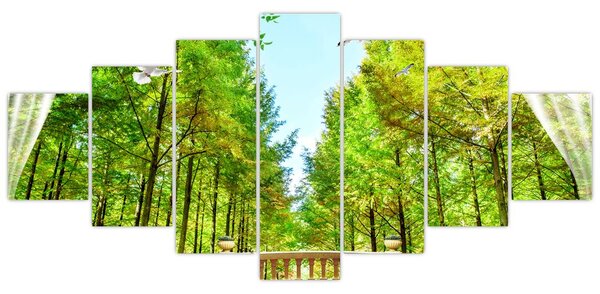 Obraz - Výhled na les (210x100 cm)