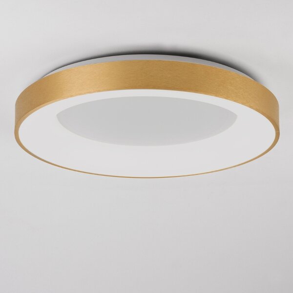 Zlaté stropní LED světlo Nova Luce Rando Thin 60 cm