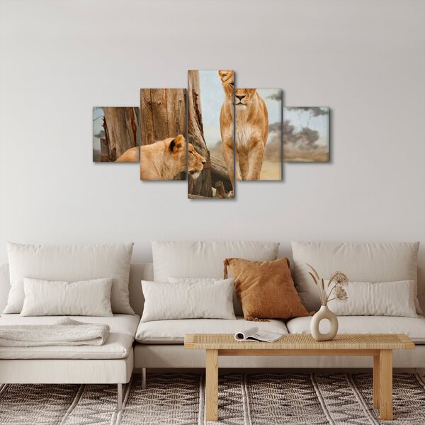 Obraz - dvě lvice (125x70 cm)