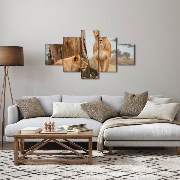 Obraz - dvě lvice (125x70 cm)