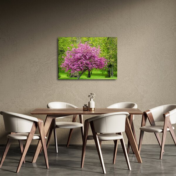 Obraz rozkvetlého stromu na louce (70x50 cm)