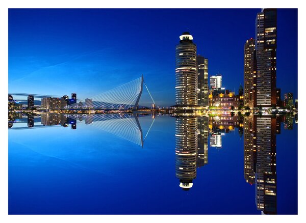 Obraz - noční Rotterdam (70x50 cm)