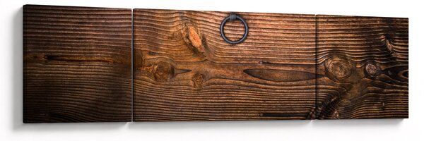Obraz textury dřeva (170x50 cm)