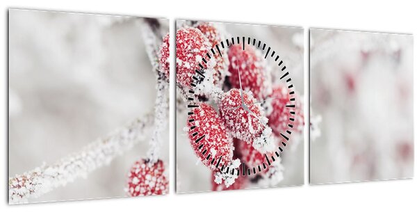 Obraz - Zmrzlé plody (s hodinami) (90x30 cm)