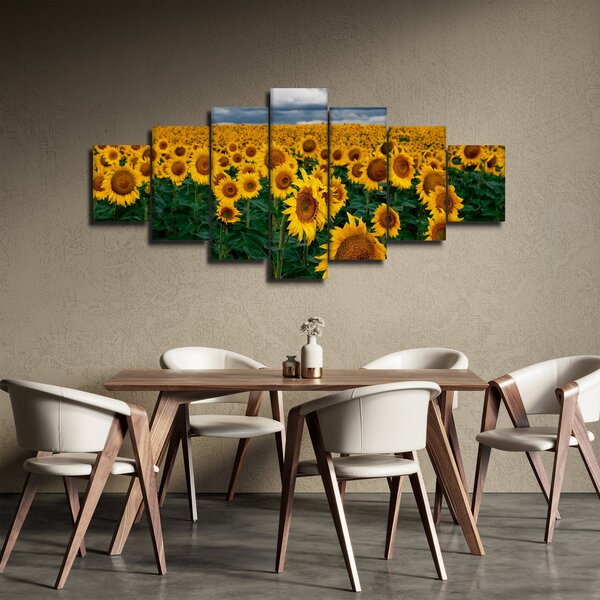 Obraz slunečnicového pole (210x100 cm)