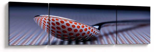 Obraz odrazu (170x50 cm)