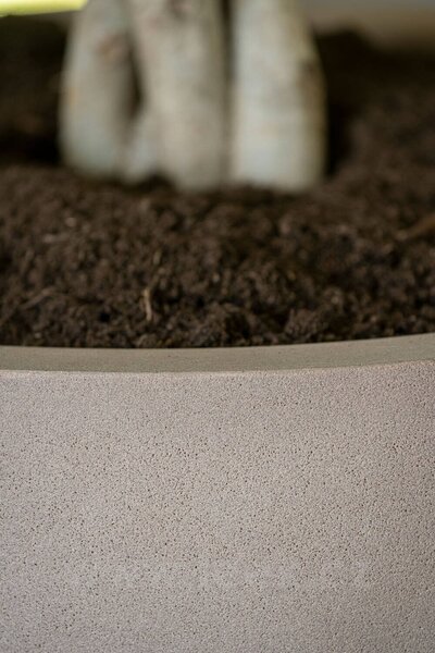 Pottery Pots Venkovní květináč kulatý Jesslyn L, Taupe (barva béžová taupe), kolekce Natural, kompozit Fiberstone, průměr 70 cm x v 61 cm, objem cca 172 l