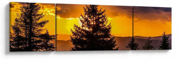Obraz - jehličnany (170x50 cm)