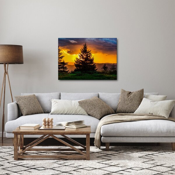Obraz - jehličnany (70x50 cm)