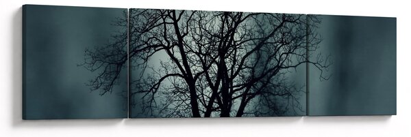 Obraz stromu v zatmění (170x50 cm)