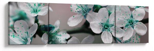 Obraz květu - tyrkysové (170x50 cm)
