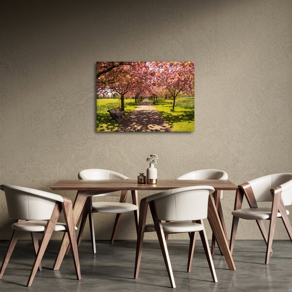 Obraz - sad třešní (70x50 cm)