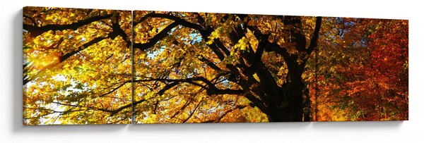 Obraz podzimu (170x50 cm)