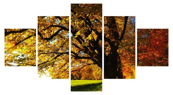 Obraz podzimu (125x70 cm)