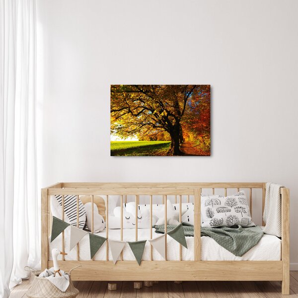 Obraz podzimu (70x50 cm)