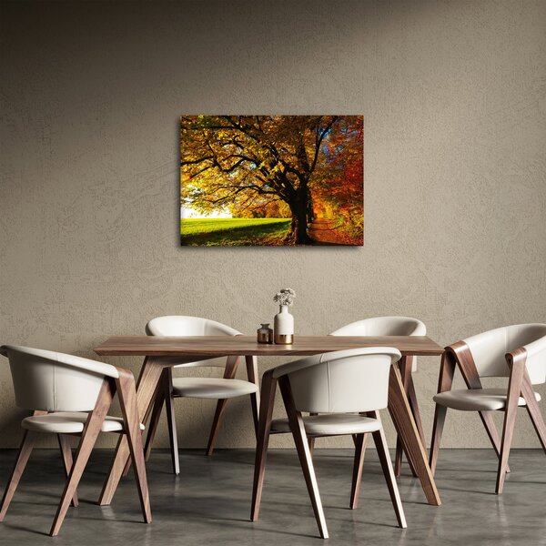 Obraz podzimu (70x50 cm)