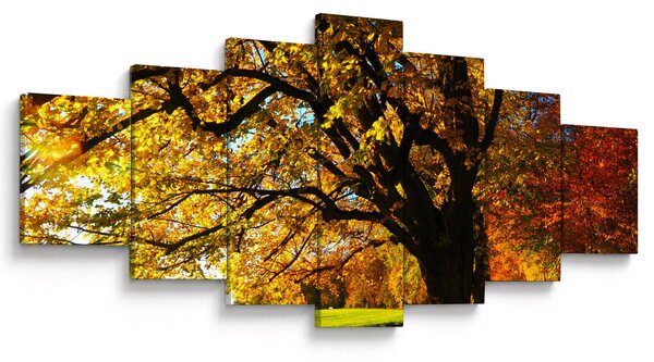 Obraz podzimu (210x100 cm)