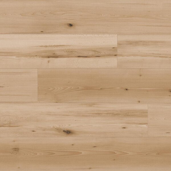 KAINDL Classic Touch 8.0 standard K4368 Buk SWARAN