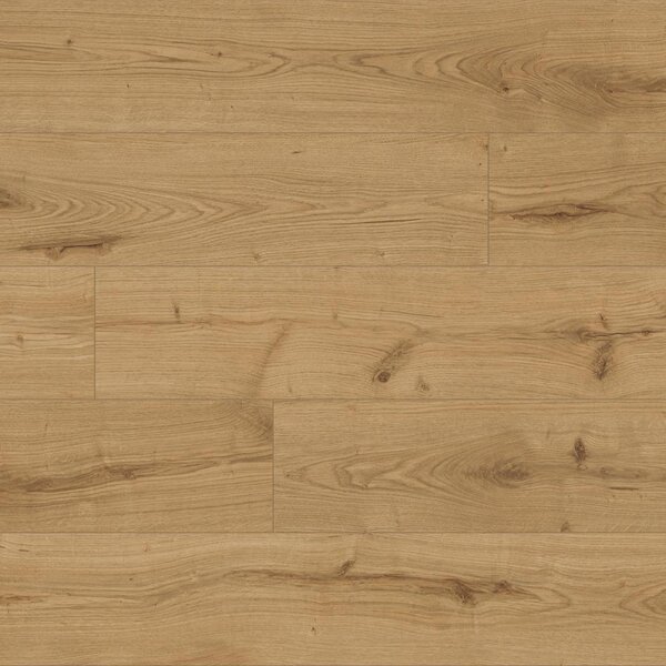 KAINDL Classic Touch 8.0 standard 37813 Dub SEVERINA