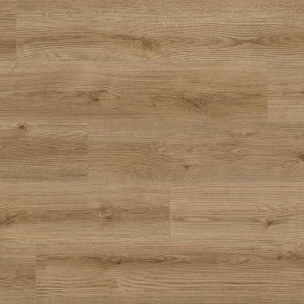KAINDL Natural Touch 8.0 standard K4421 Dub EVOKE TREND