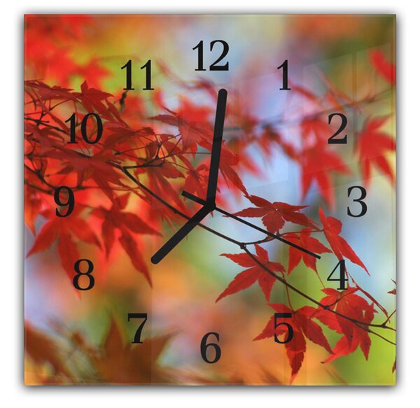 Nástěnné hodiny 30x30cm japonský javor větev a červené listí - plexi