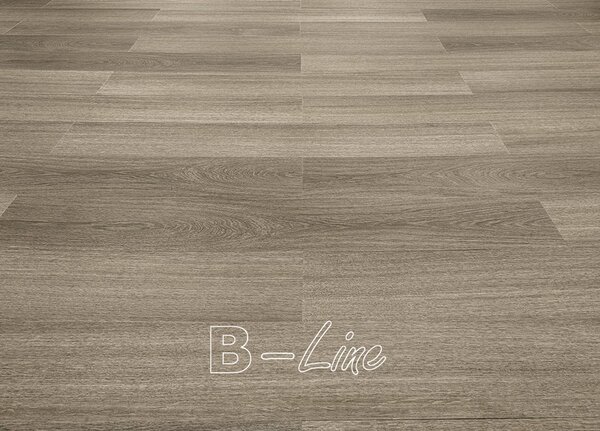 Vinylová podlaha MODULEO ROOTS 55 Glyde Oak 22877 registrace = slevy