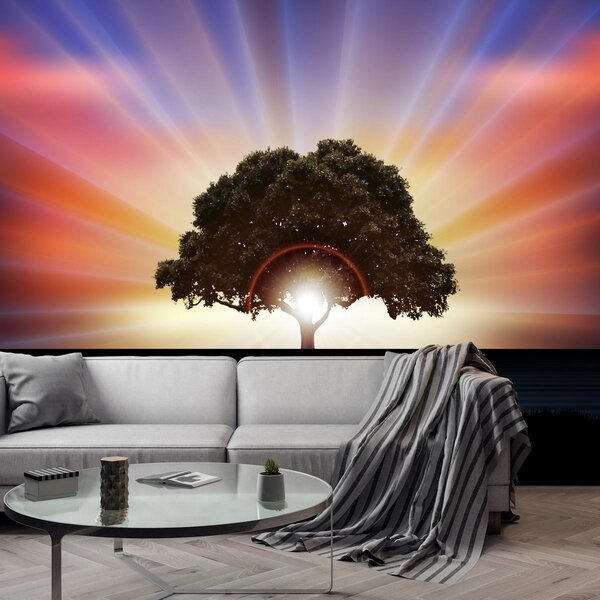 Fototapeta - Strom v záři slunce (245x170 cm)