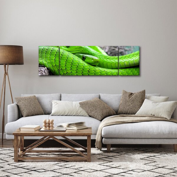 Obraz zelených hadů (170x50 cm)