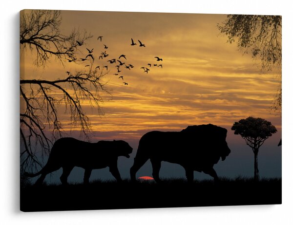 Obraz Safari (70x50 cm)