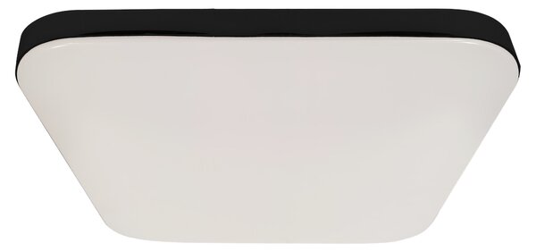 Stropní LED svítidlo Nemo, 1x LED 17w, 4000k, b