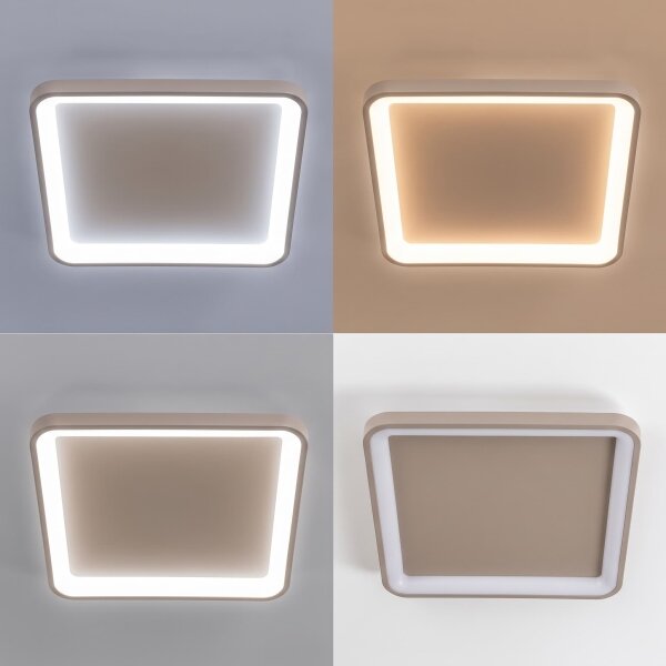 BRILAGI - LED Stm stropní svítidlo FALCON SLIM LED/50W/230V 50x50 cm béžová + DO