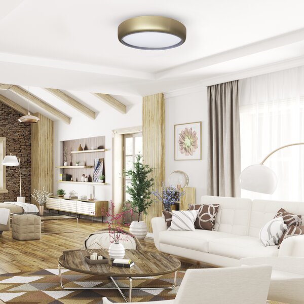 Stropní LED svítidlo Gea, 1x LED 36w, 3000-6000k, g, s ovladačem