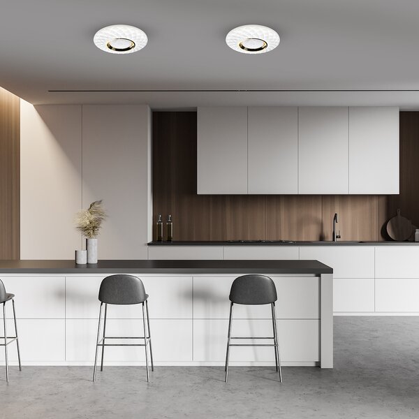 Stropní LED svítidlo Tokyo, 1x LED 24w, 3000-6000k, w/g, s ovladačem