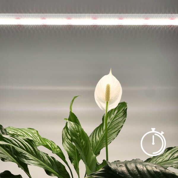 LED Podlinkové svítidlo pro pěstování rostlin GROWLY LED/15W/230W